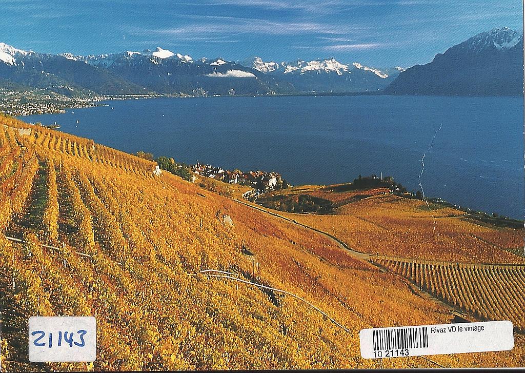 [CP 203515] Postcards 21143 Rivaz
