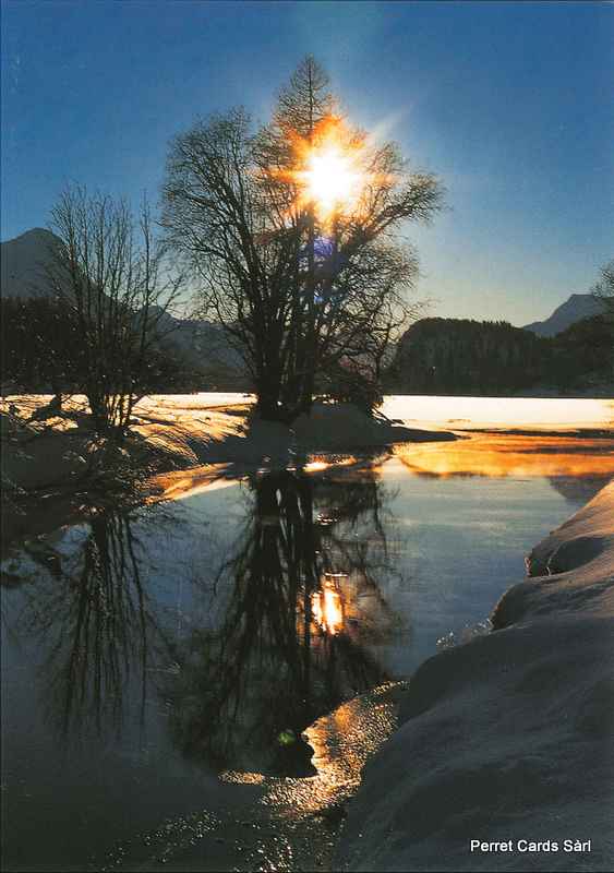 [CP 201418] Postcards 21473 w Paysage d'hiver