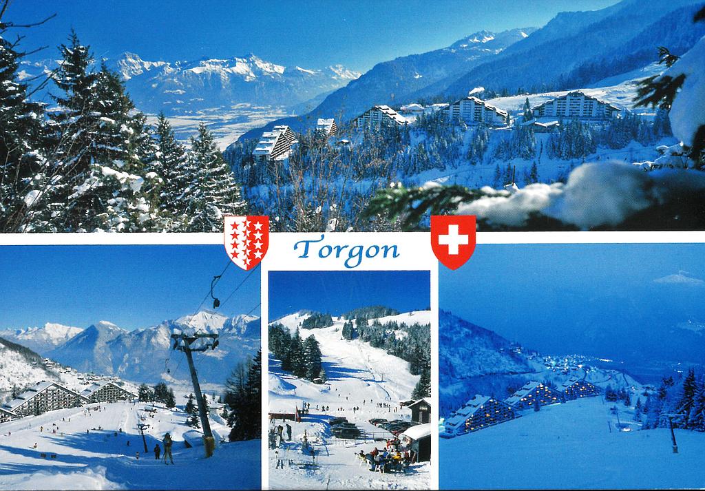 [CP 204521] Postcards 21515 w Torgon