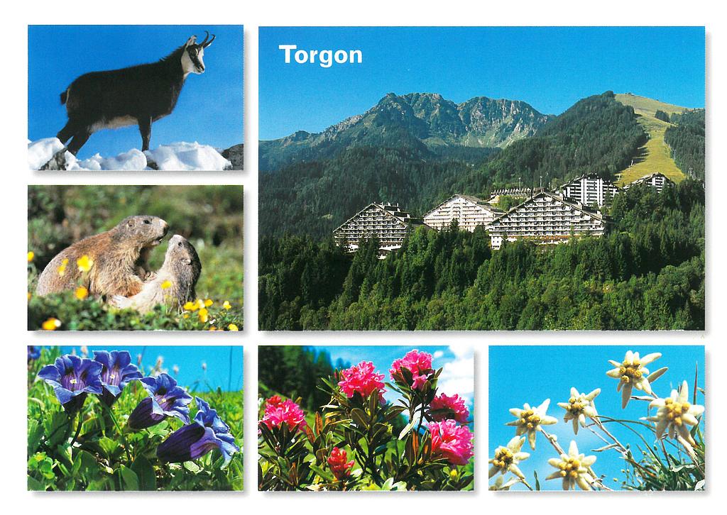 [CP 204623] Postcards 22595 Torgon, Portes du Soleil