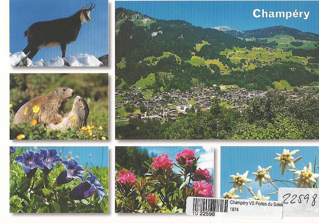 [CP 204781] Postcards 22598 Champéry