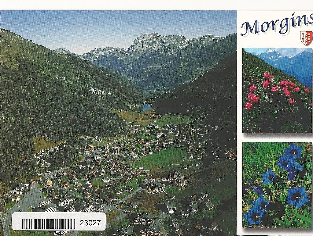[CP 204686] Postcards 23027 Morgins