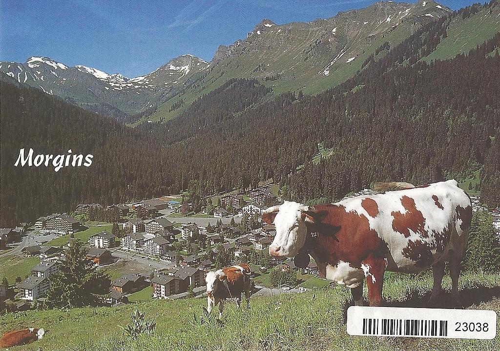 [CP 204760] Postcards 23038 Morgins
