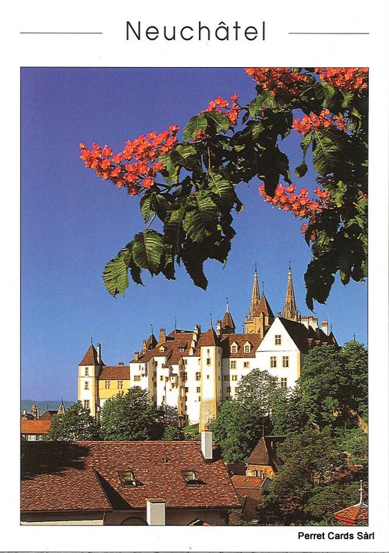 [CP 202974] Postcards 23674 Neuchâtel, Vue du Château