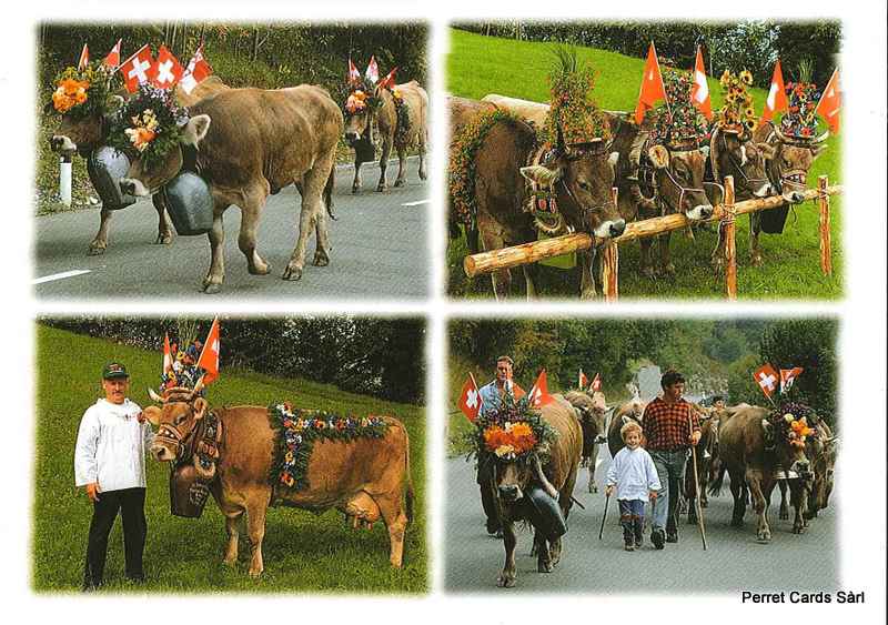 [CP 202563] Postcards 24106 La désalpe