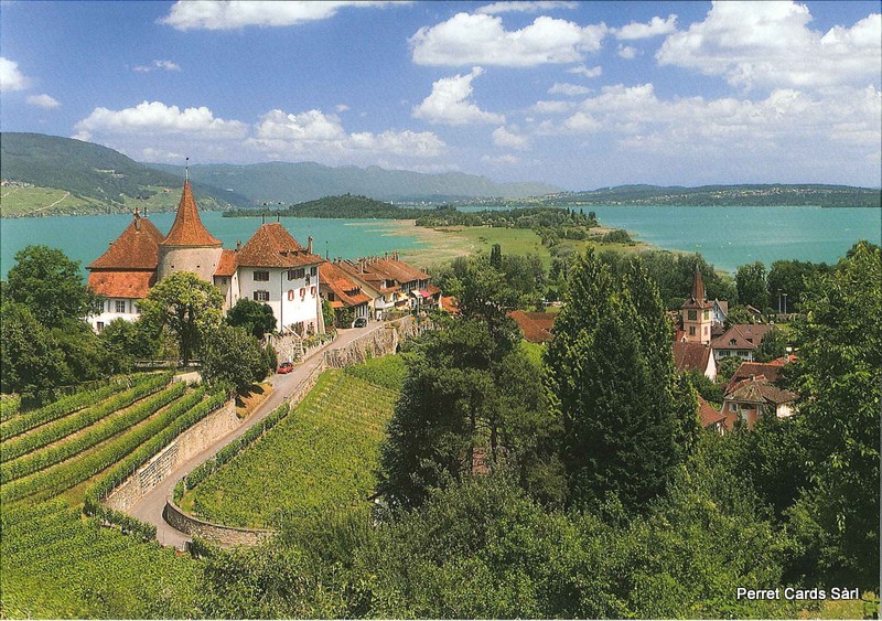 [CP 209426] Postcards 25267 Erlach (Cerlier) Château et île St-Pierre