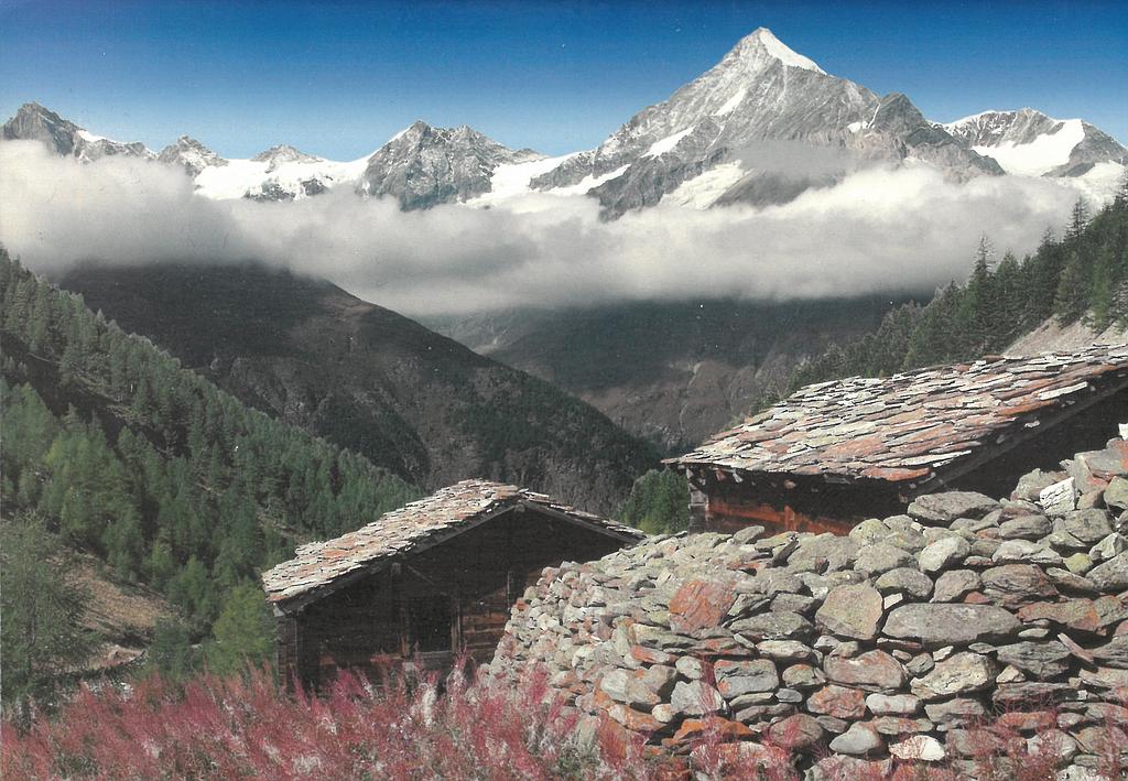 [CP 204211] Postcards 25578 Täsch