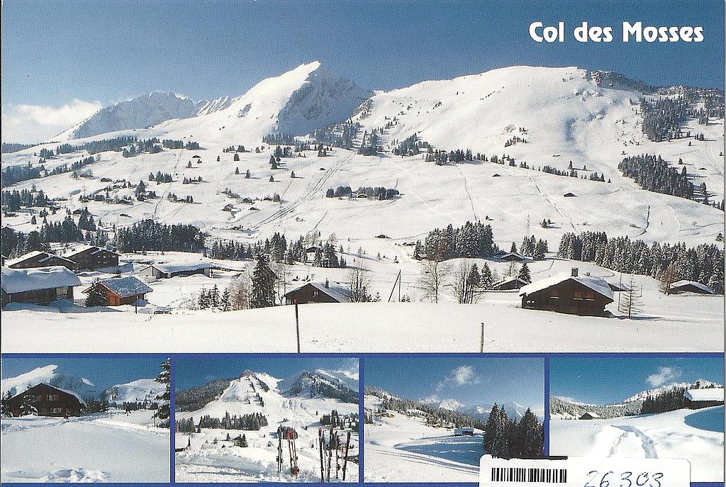 [CP 203351] Postcards 26303 w Col des Mosses
