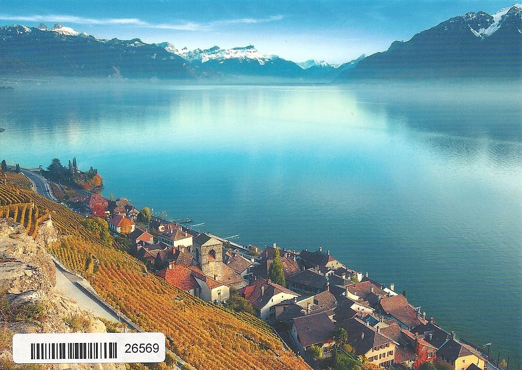 [CP 203576] Postcards 26569 St-Saphorin