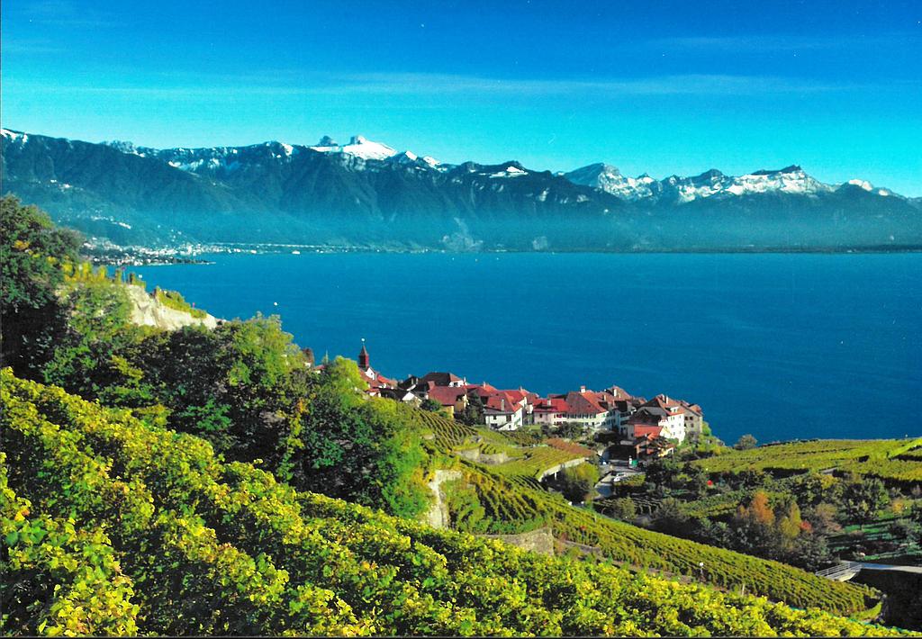 [CP 203358] Postcards 26905 Lavaux
