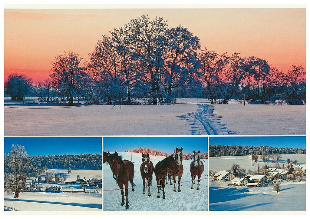 [1027188] Postcards 27188 w Franches-Montagnes