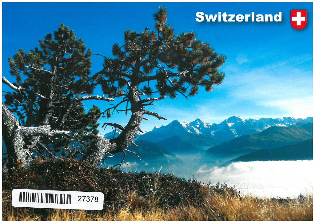 [CP 208561] Postcards 27378