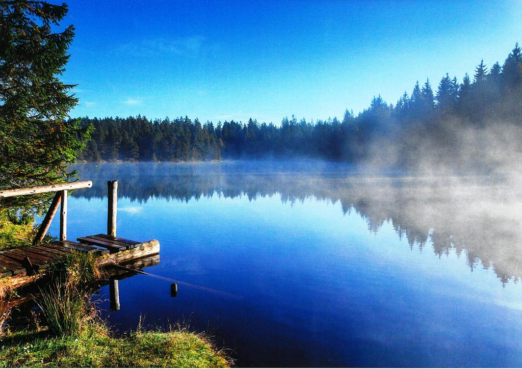 [CP 209428] Postcards 27554 Etang de la Gruère