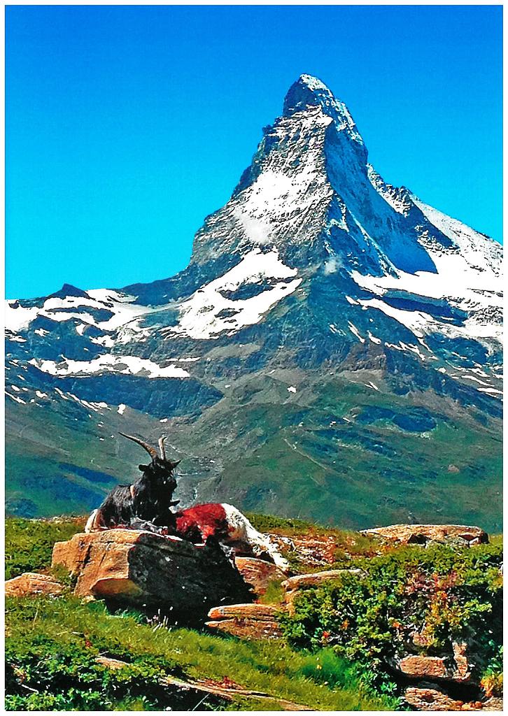 [CP 202156] Postcards 27559 Cervin