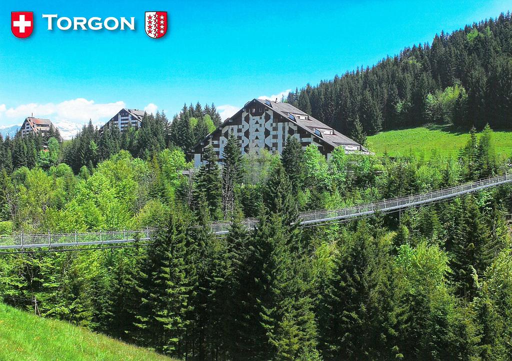 [CP 204702] Postcards 27830 Torgon (VS) Pont suspendu