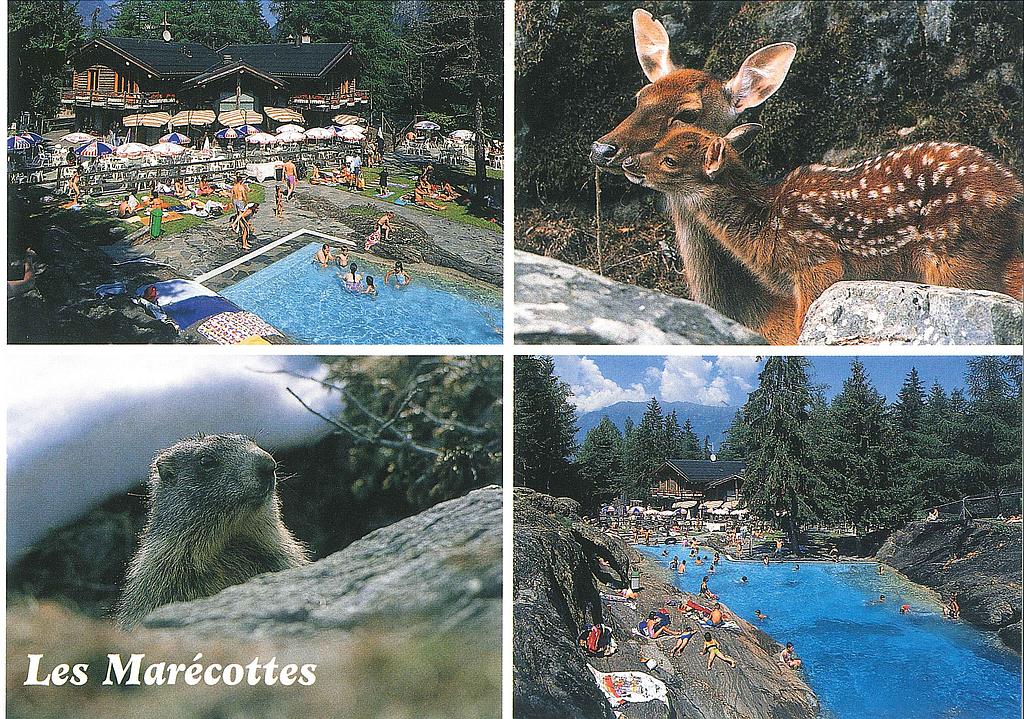 [CP 204671] Postcards 28047 Les Marécottes