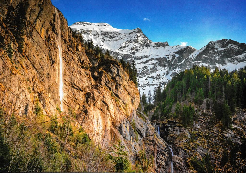 [CP 208851] Postcards 29081 Saxeten