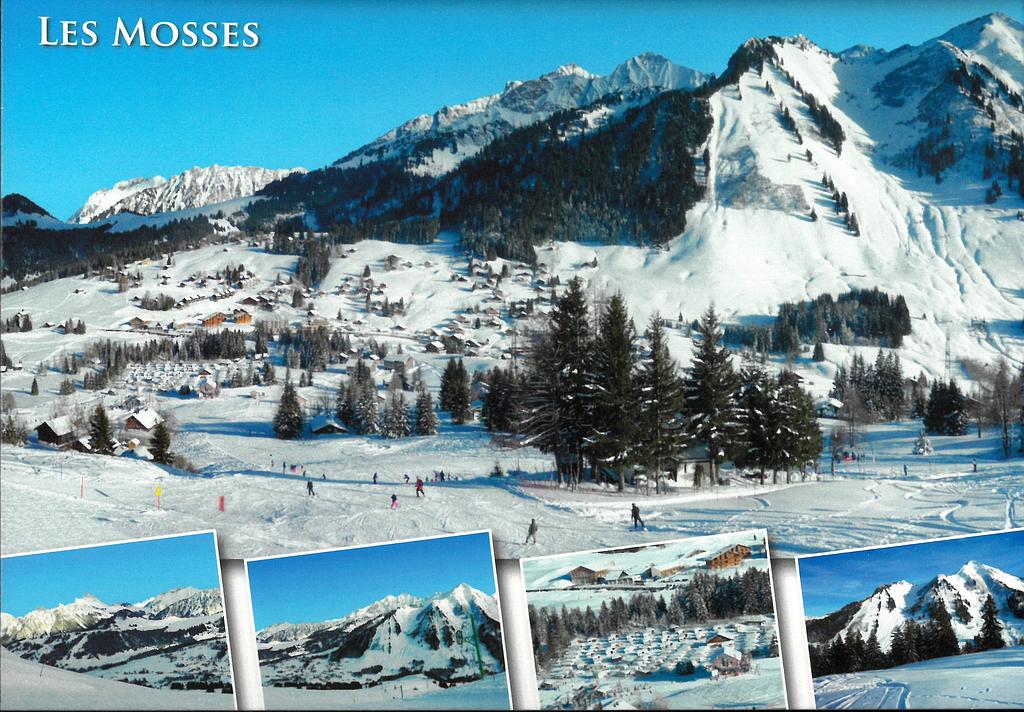 [CP 203237] Postcards 19202 w Col des Mosses