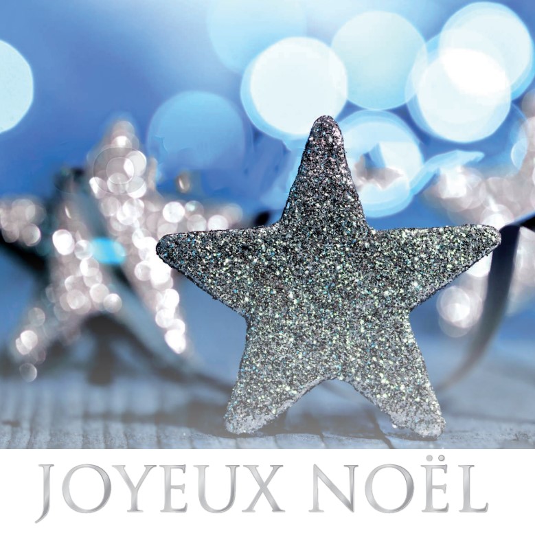 Mélange de 10 sachet de 2 cartes Noël