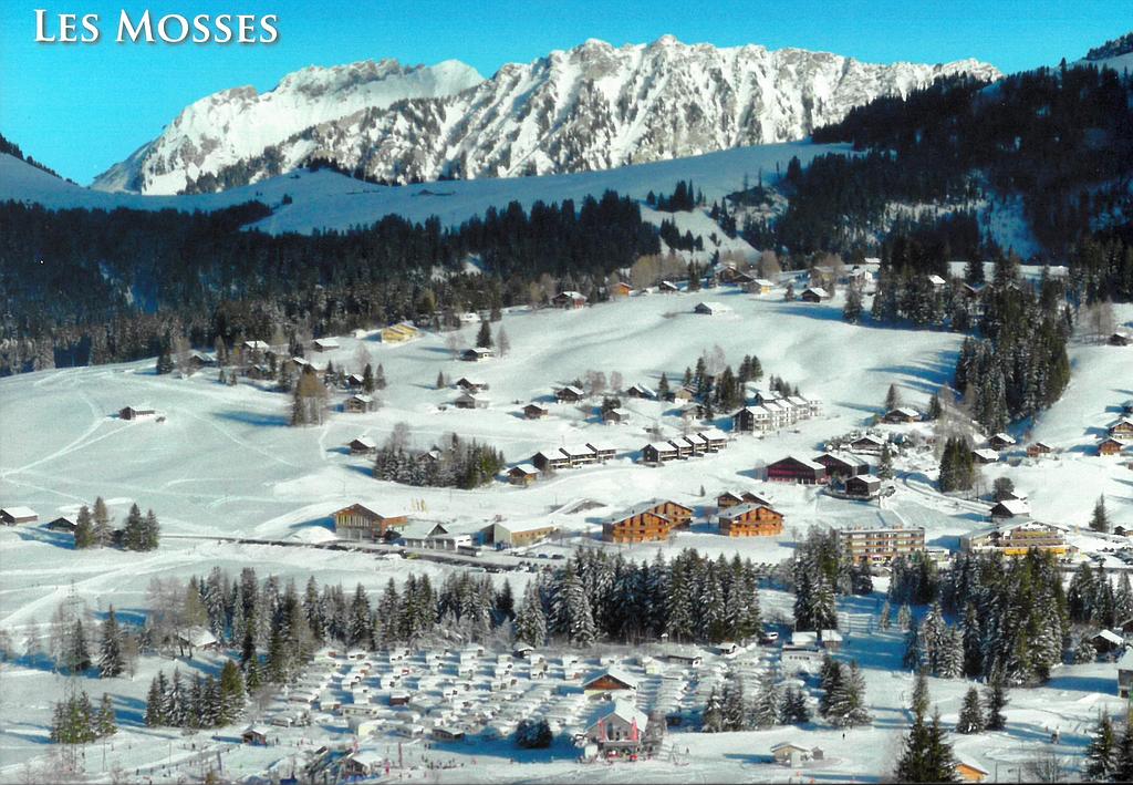 [CP 203235] Postcards 19202 w Col des Mosses