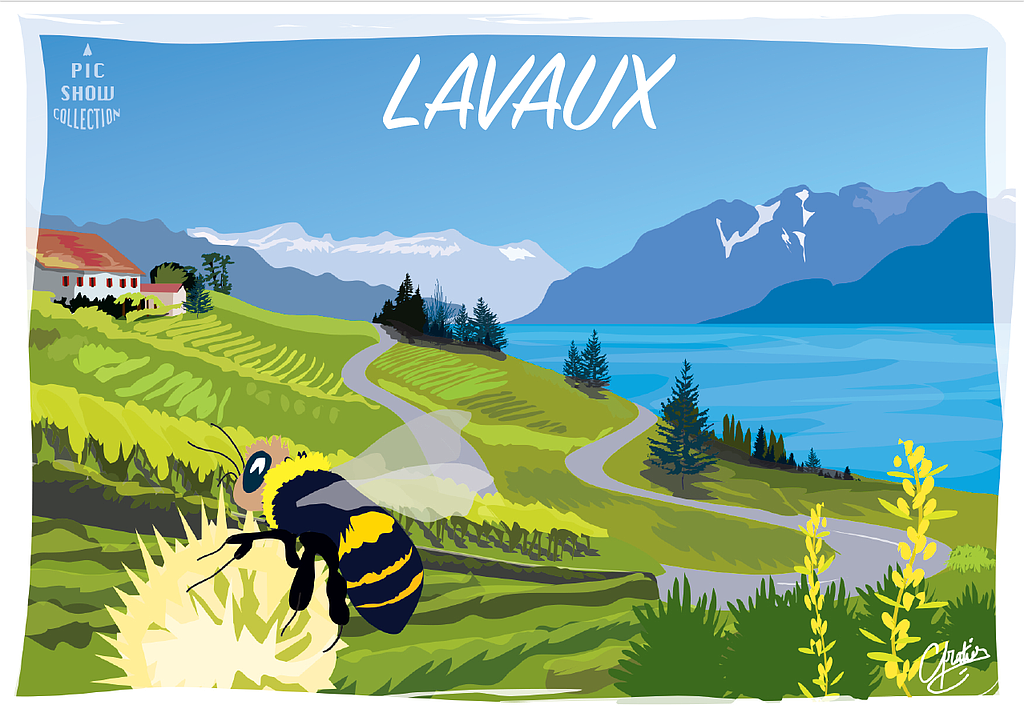 [CP VD115] Postcards Lavaux