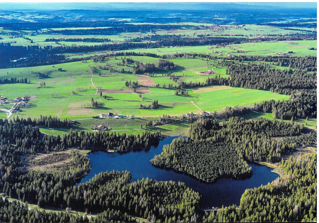 [CP 202967] Postcards 27554 Etang de la Gruère