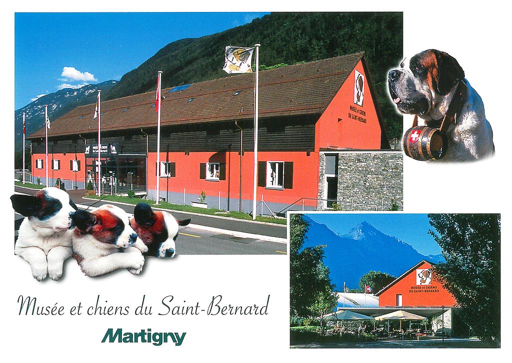 [CP 204794] Postcards 30109 Martigny, musée et chiens du St-Bernard