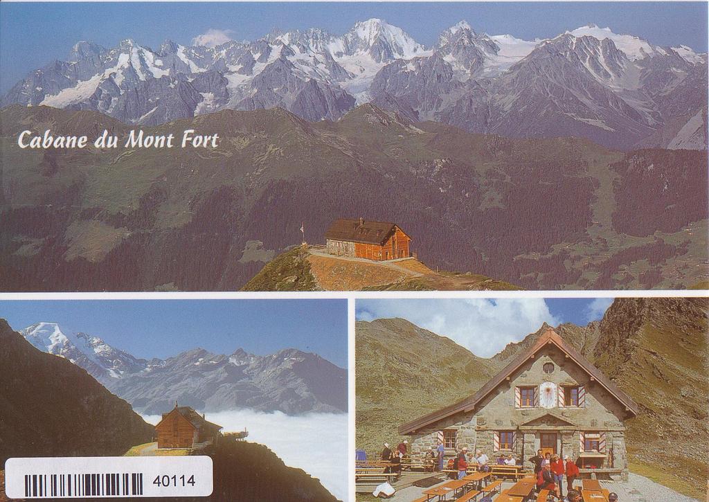 [CP 204999] Postcards 40114 Cabanne du Mont-Fort