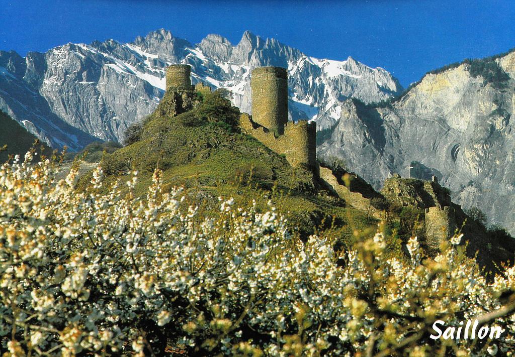 [CP 204734] Postcards 41030 Saillon, les Tours Bayard et le Haut de Cry