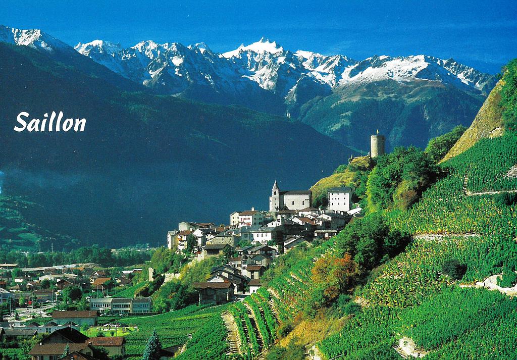 [CP 204717] Postcards 41040 Saillon