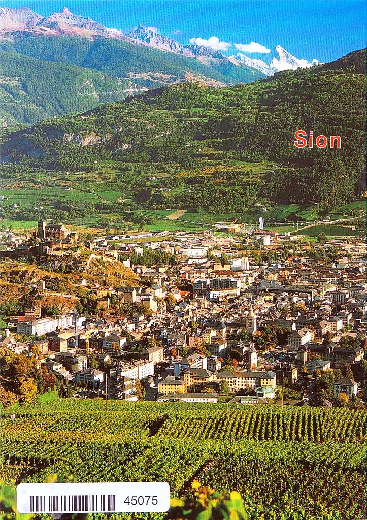 [CP 204439] Postcards 45075 Sion
