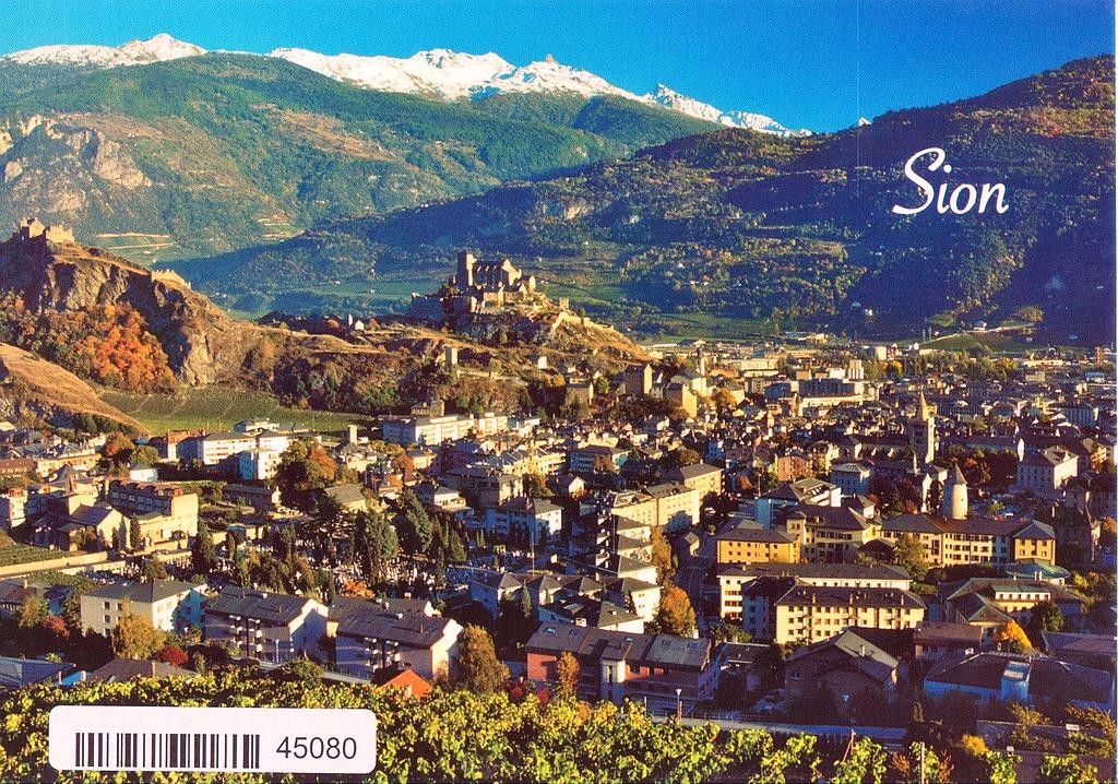[CP 205010] Postcards 45080 Sion