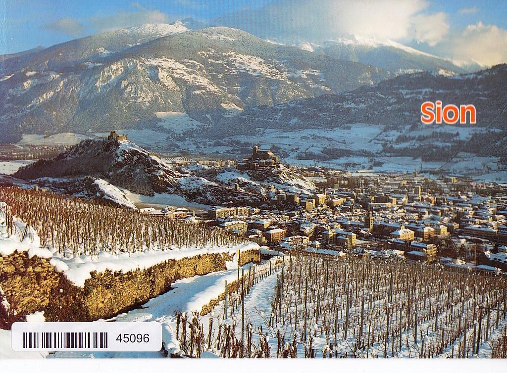 [CP 204377] Postcards 45096 Sion w