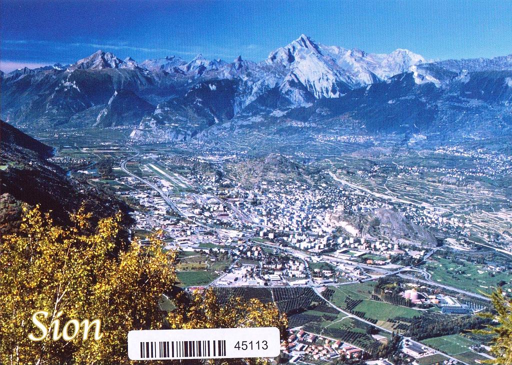 [CP 204737] Postcards 45113 Sion