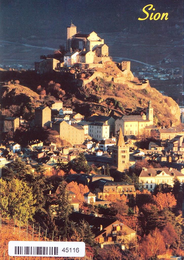[CP 205072] Postcards 45116 Sion la nuit