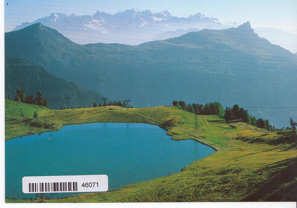 [CP 204831] Postcards 46071 Nendaz