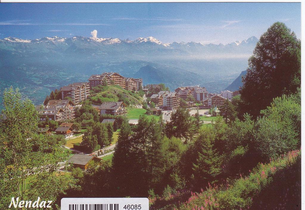 [CP 204726] Postcards 46085 Nendaz