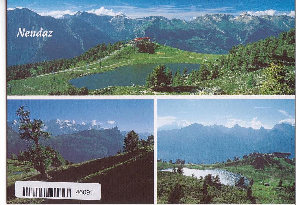 [CP 204955] Postcards 46091 Nendaz
