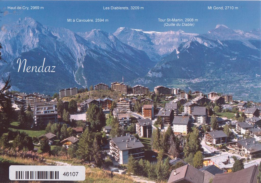 [CP 204845] Postcards 46107 Nendaz