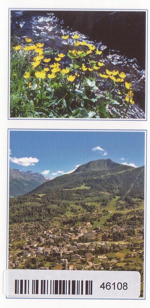 [CP 204791] Postcards 46108 Nendaz