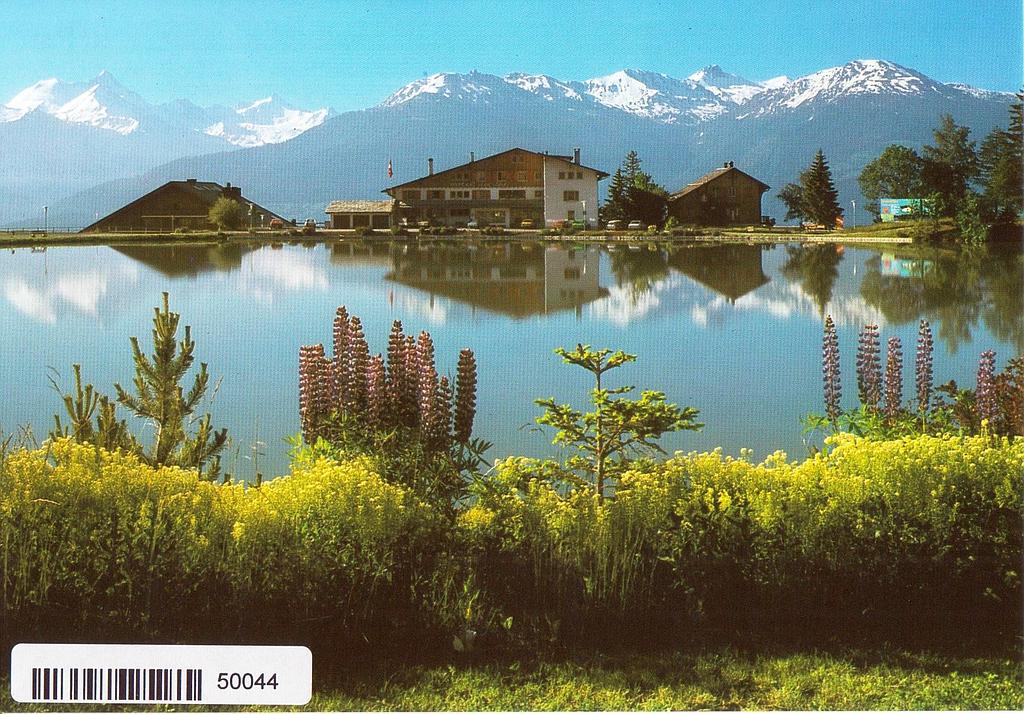 [CP 204790] Postcards 50044 Crans-Montana