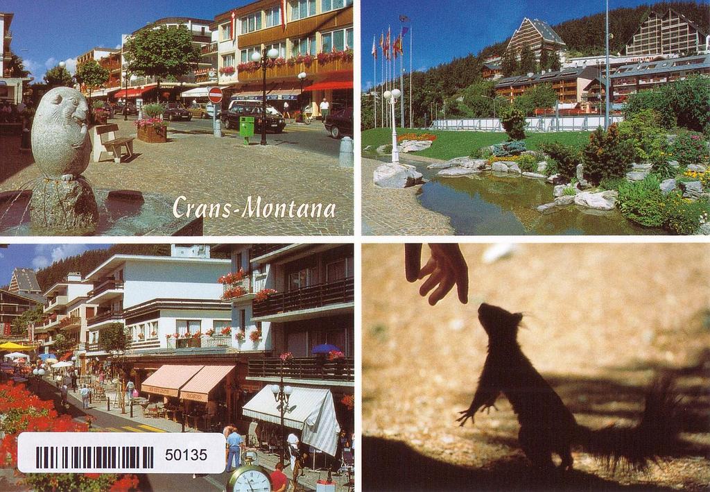 [CP 204970] Postcards 50135 Crans-Montana
