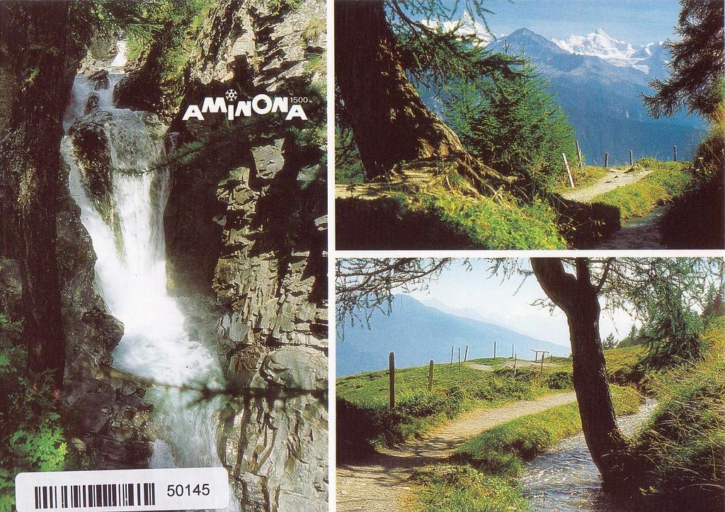 [CP 204578] Postcards 50145 Crans-Montana, Aminona