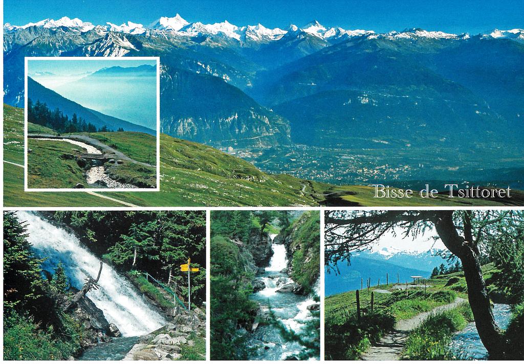 [CP 205070] Postcards 50174 Crans-Montana bisse de Tsittoret 