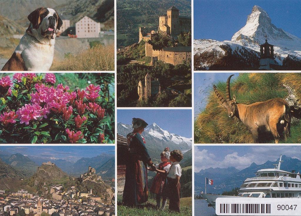 [CP 204652] Postcards 90047 Valais Wallis