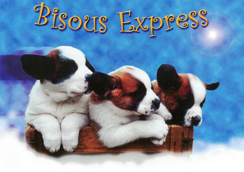 [CP 208570] Postcards 90123 St-Bernard 'Bisous express'