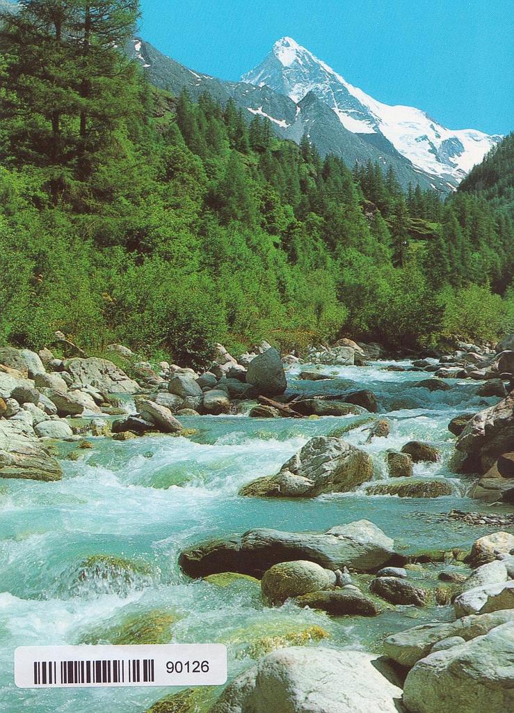 [CP 204575] Postcards 90126 Valais Wallis