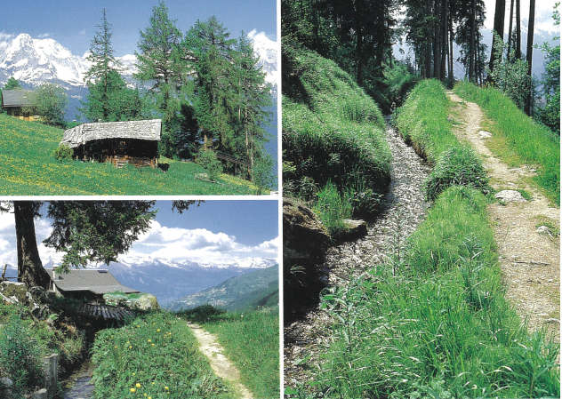 Postcards 90195 Valais Wallis
