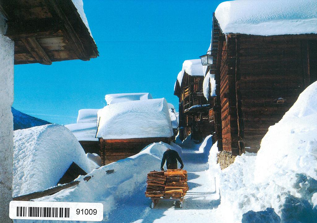 [CP 204193] Postcards 91009 w Hiver