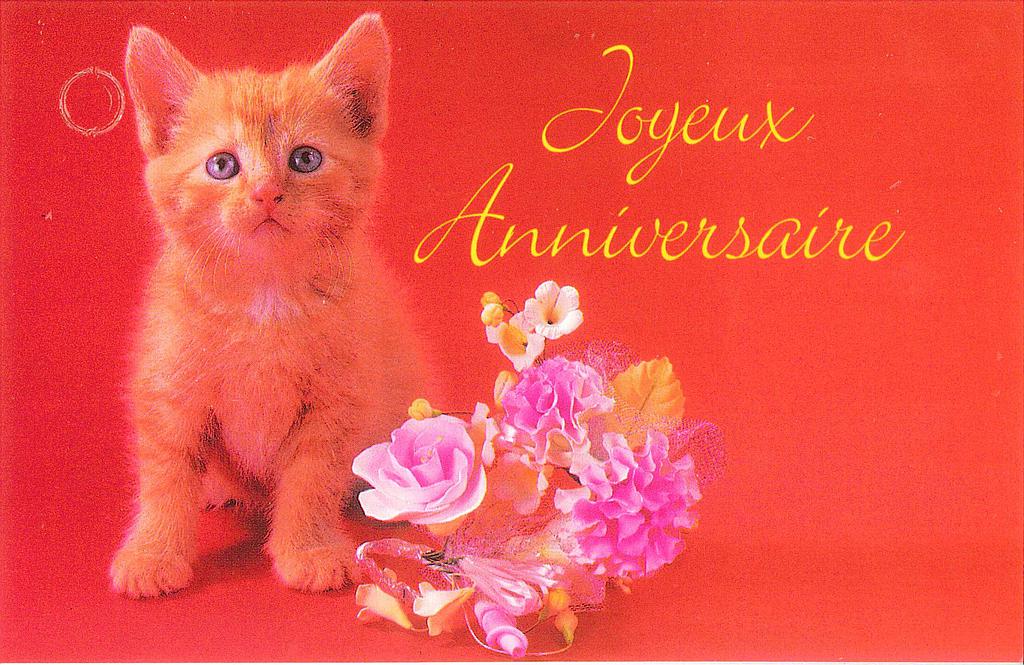 [MN-TE HA 529A] Mini cartes simples Anniversaire